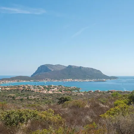 Casa vacanze Casa Odina *